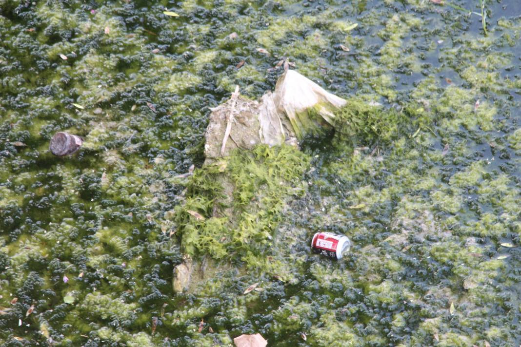 Seyhan Nehri’nin rengi değişti. Bu görüntünün sebebi ne? - Resim: 20